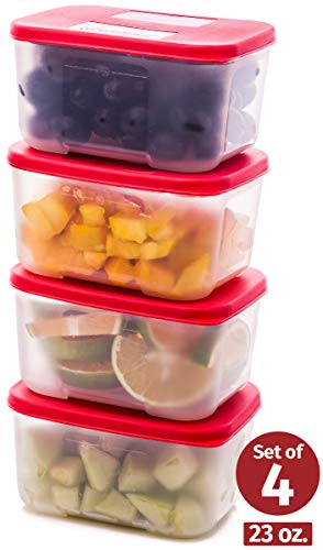 Quicker Defrost- Reusable Freezer Containers with Lids Set of 4-235 oz for Soups Leftovers Meal Prep Food Storage Airtight Food Storage Containers With Lids Plastic Freezer Containers Jars