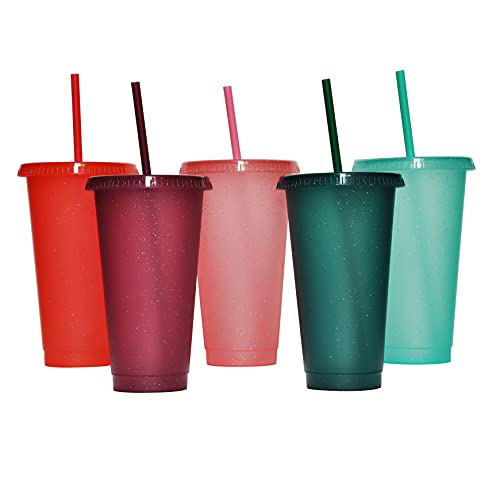 Tumbler with Straw and LidWater Bottle Iced Coffee Travel Mug CupReusable Plastic CupsPerfect for PartiesBirthdays24oz5 Pack